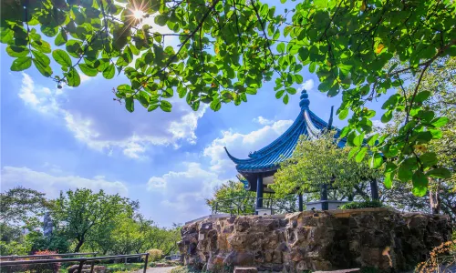 Plum Garden