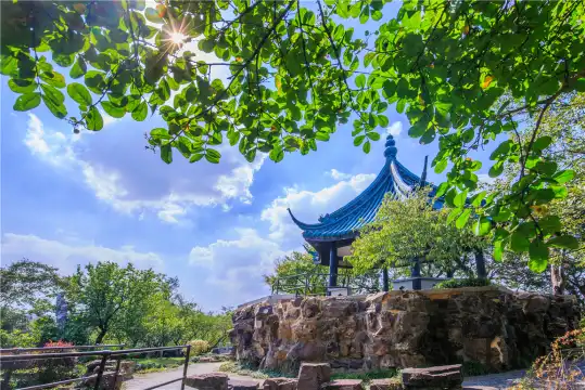 梅園周辺のホテル