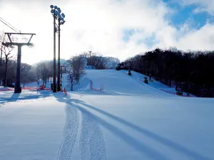 가루이자와 프린스 호텔 스노 리조트