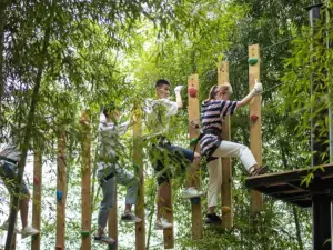 Moganshan Starry Sky Adventure Park