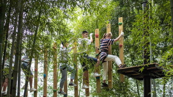 Moganshan Starry Sky Adventure Park