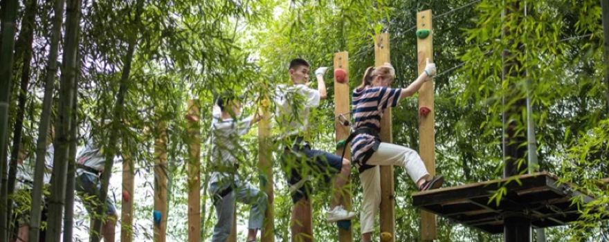 Moganshan Starry Sky Adventure Park