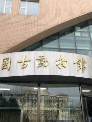 The Paleozoological Museum of China