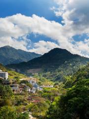 新興天露山旅遊度假區