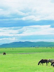 Zharisu Grassland