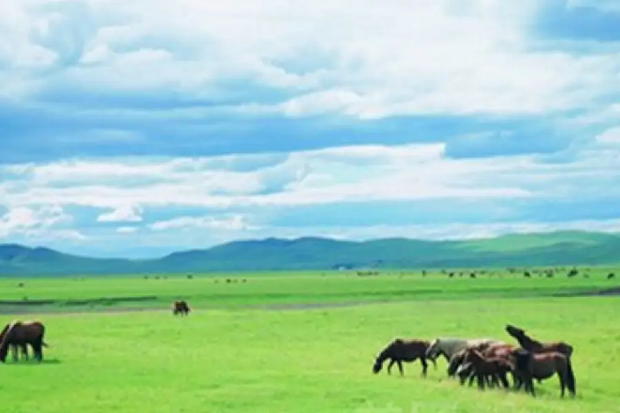 Zharisu Grassland