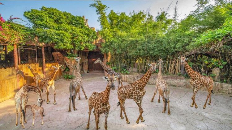 長鹿旅遊休博園