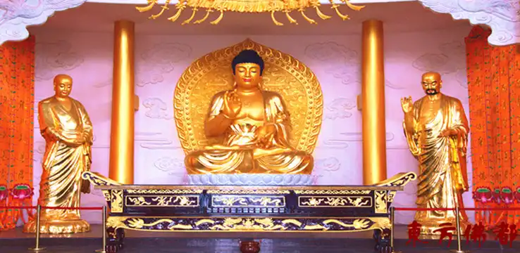 Hotels near Oriental Buddha Capital