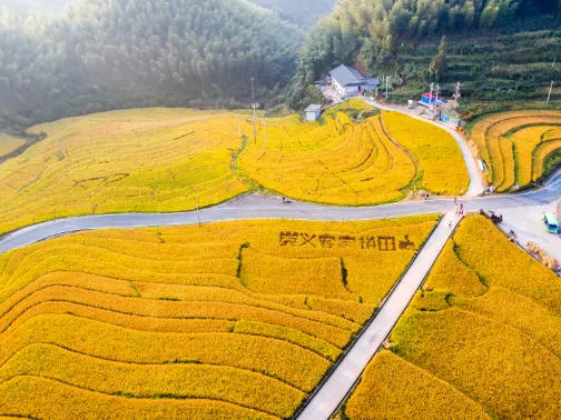 上堡梯田