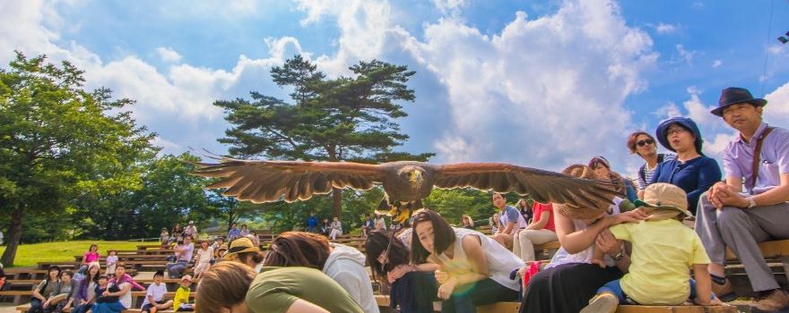 Nasu Animal Kingdom