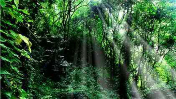 Pingshan