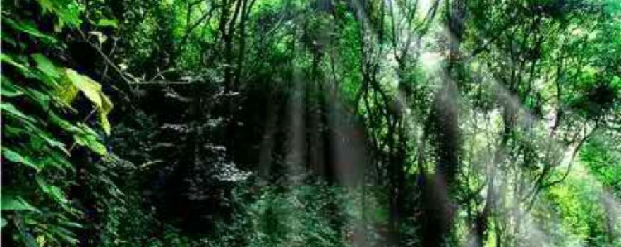 Tenglong Mountain