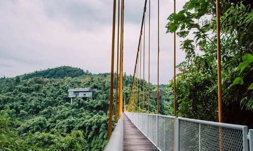 Bamboo Canyon Scenic Area (Jinji Valley)