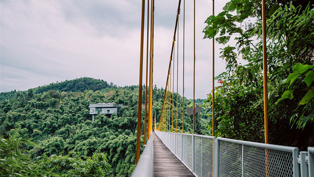 Bamboo Canyon Scenic Area (Jinji Valley)