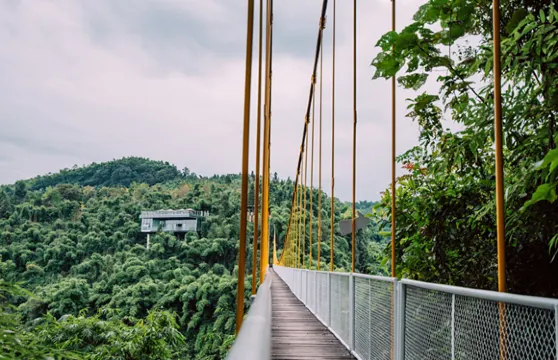 川西竹海景區門票成人