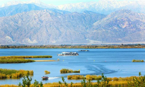 沙湖生態旅遊區