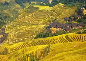 Longji Rice Terrace