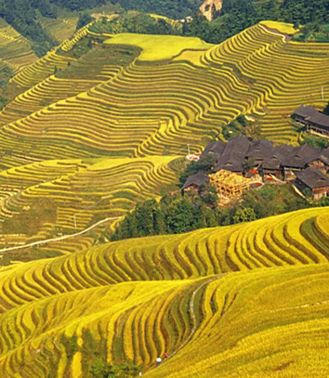 Longji Terraces