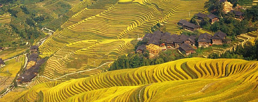 Longji Terraces