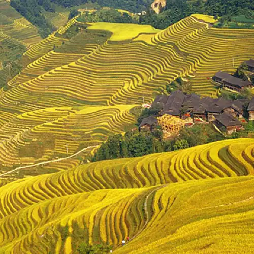 Top 50 Fall Viewing Attractions in Guilin