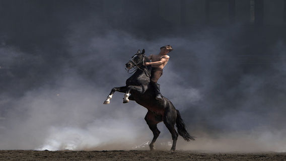 Xinjiang Khan Blood Horse Base