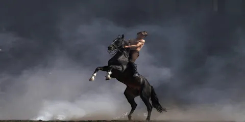 新疆古生態園汗血馬基地