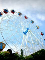 Ferris wheel