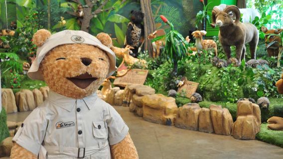 Teddy Bear Safari (Teseum)