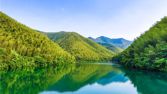Tianmu Lake Nanshan Bamboo Sea Scenic Spot