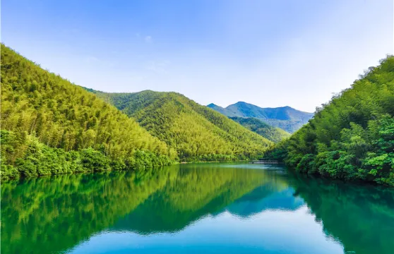 天目湖南山竹海景區門票家庭（1位成人+1位小童）