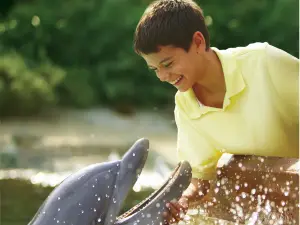 SeaWorld San Antonio