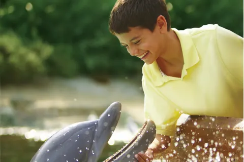SeaWorld San Antonio