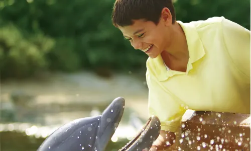 SeaWorld San Antonio
