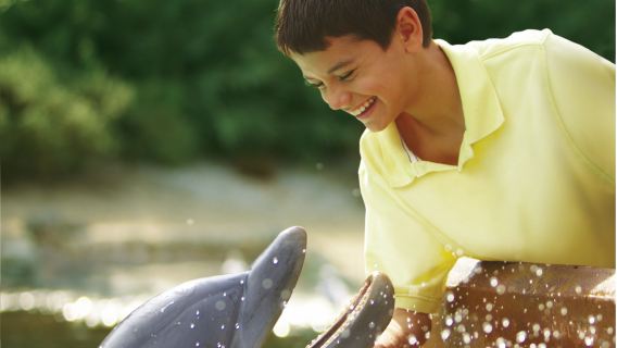 SeaWorld San Antonio