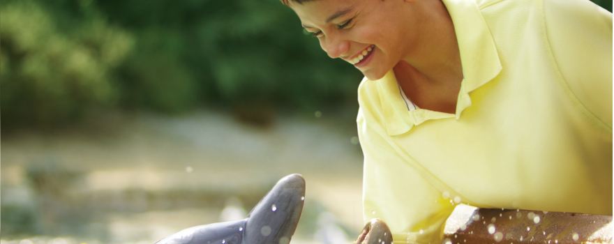 SeaWorld San Antonio