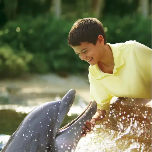 SeaWorld San Antonio