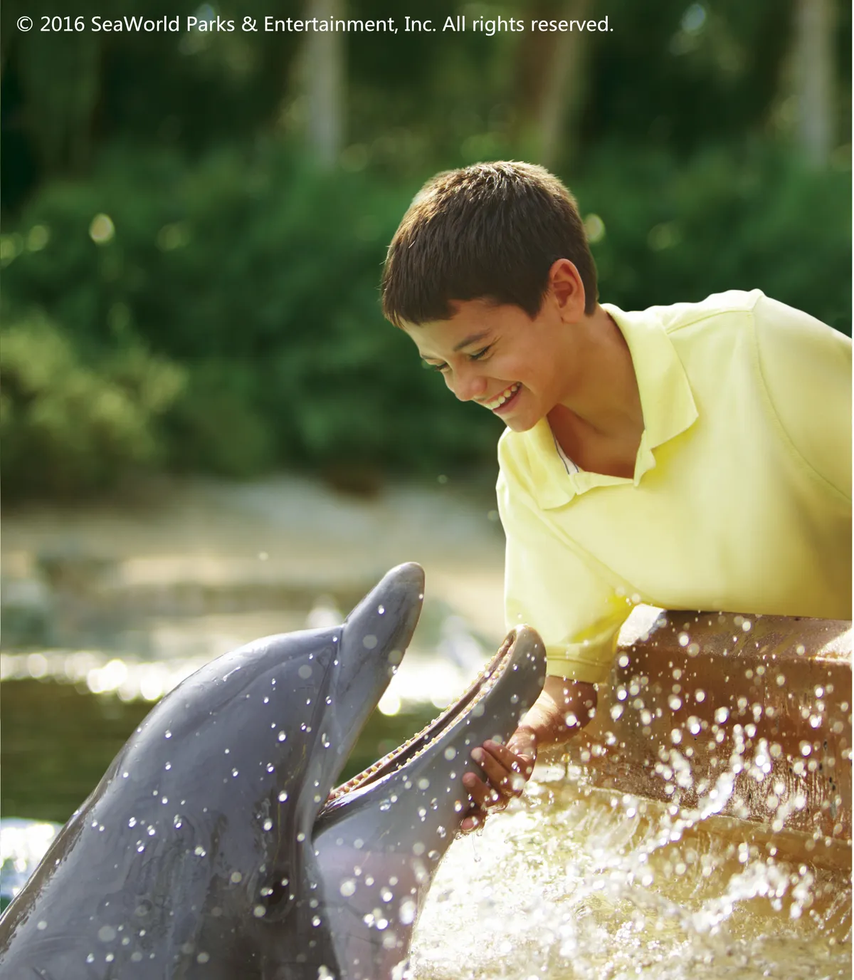 SeaWorld San Antonio