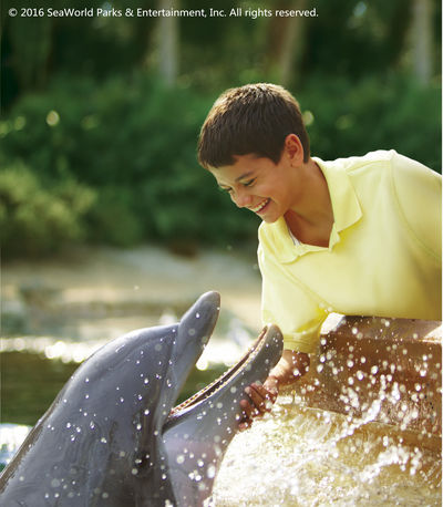 SeaWorld San Antonio