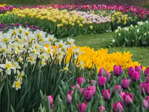 Popular Spring Outings in Pennsylvania
