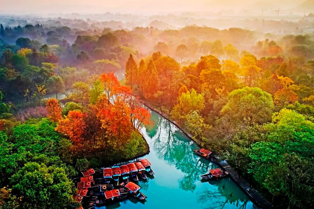 Xixi Wetland Park Area