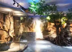 南通森林野生動物園