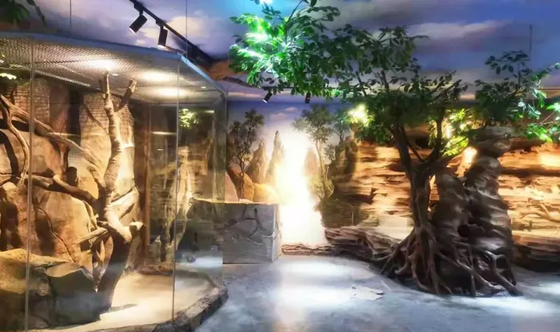 3_Nantong Forest Safari Park