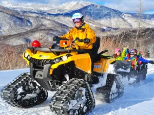 Hakuba Iwatake白馬巖岳滑雪場