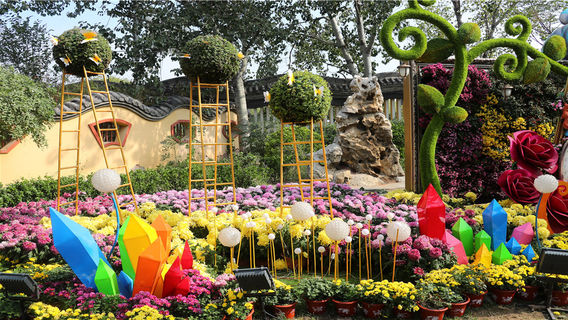 Chrysanthemum Viewing in Kaifeng