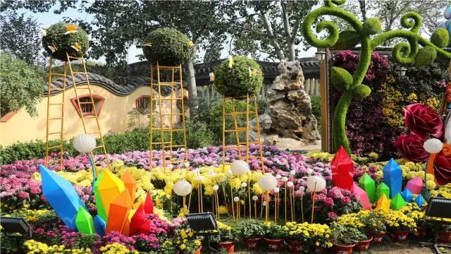 Chrysanthemum Viewing in Kaifeng