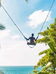 Rock Beach Swing