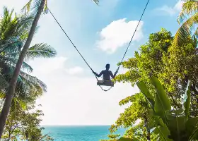 Rock Beach Swing