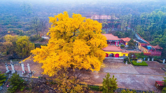 Chengding Mountain