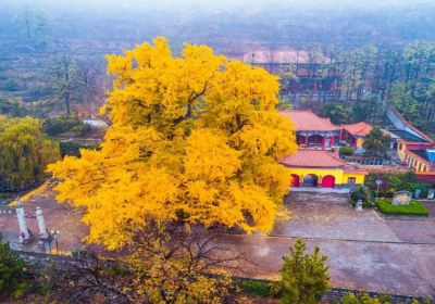 Chengding Mountain