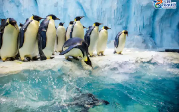 Zhuhai Chimelong International Ocean Resort